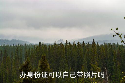 辦身份證可以自己帶照片嗎，辦身份證可以自帶照片嗎