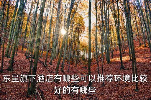 東呈旗下酒店有哪些可以推薦環(huán)境比較好的有哪些