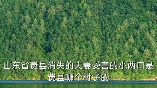 山東省費縣消失的夫妻受害的小兩口是費縣哪個村子的