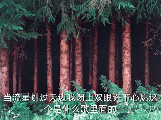 劉啟俊，候補(bǔ)情人歌詞
