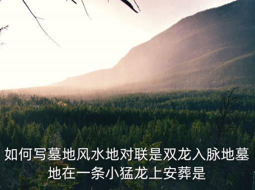 如何寫墓地風水地對聯是雙龍入脈地墓地在一條小猛龍上安葬是