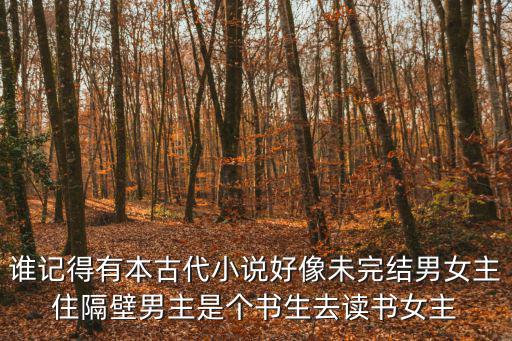 誰記得有本古代小說好像未完結男女主住隔壁男主是個書生去讀書女主