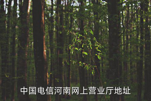 中國電信河南網(wǎng)上營業(yè)廳地址
