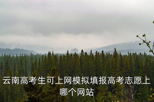 高考模擬志愿填報，云南高考生可上網模擬填報高考志愿上哪個網站