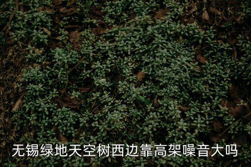 無錫綠地天空樹西邊靠高架噪音大嗎