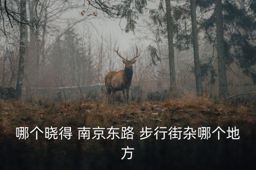 南京東路步行街，哪個(gè)曉得 南京東路 步行街雜哪個(gè)地方
