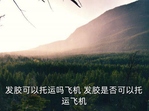 發(fā)膠可以托運嗎飛機 發(fā)膠是否可以托運飛機