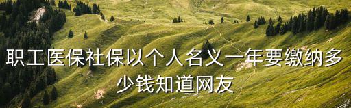 職工醫(yī)保社保以個(gè)人名義一年要繳納多少錢知道網(wǎng)友
