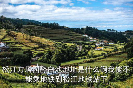 松江方塔園，松江方塔園醉白池地址是什么啊我能不能乘地鐵到松江地鐵站下