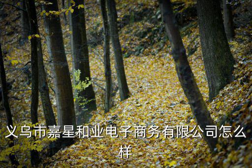 義烏市嘉星和業(yè)電子商務(wù)有限公司怎么樣