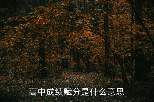 高中成績(jī)賦分是什么意思