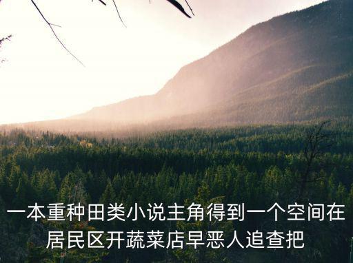一本重種田類小說主角得到一個空間在居民區開蔬菜店早惡人追查把