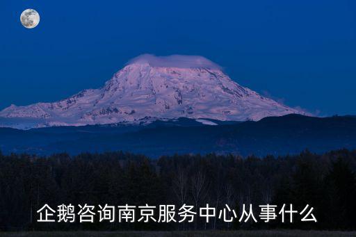 企鵝咨詢南京服務中心從事什么