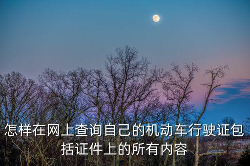 行駛證查詢，怎樣在網(wǎng)上查詢自己的機動車行駛證包括證件上的所有內(nèi)容