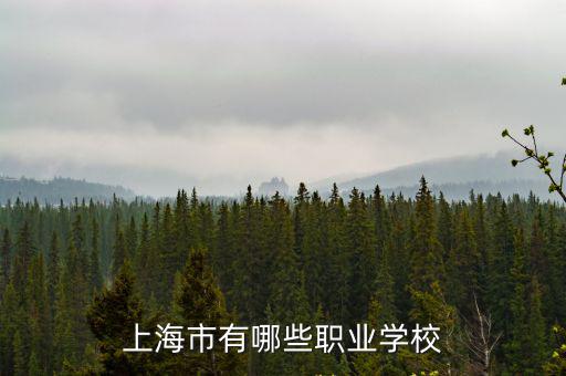 上海市有哪些職業(yè)學(xué)校