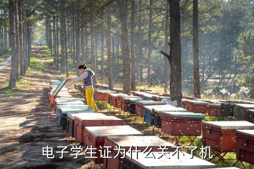 電子學生卡，電子學生卡能被信號檢測儀查到嗎