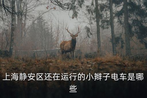 上海靜安區還在運行的小辮子電車是哪些