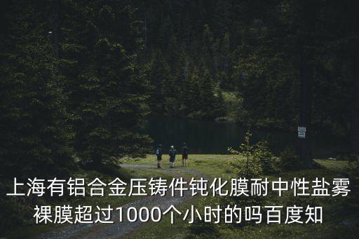 上海有鋁合金壓鑄件鈍化膜耐中性鹽霧裸膜超過1000個小時的嗎百度知