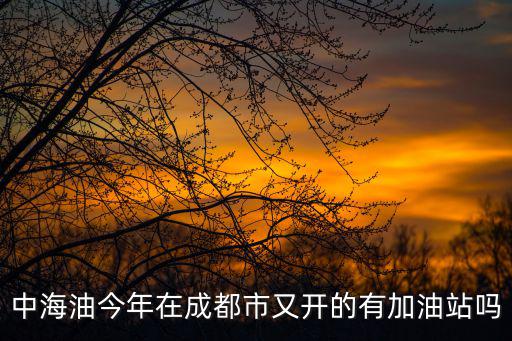 中海油今年在成都市又開的有加油站嗎