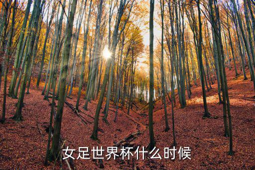 女足世界杯什么時(shí)候