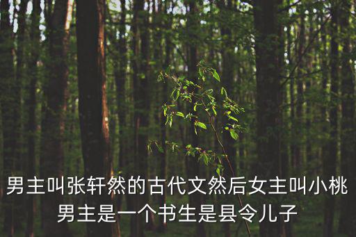 男主叫張軒然的古代文然后女主叫小桃男主是一個書生是縣令兒子