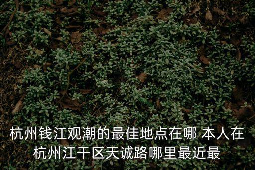 錢塘江觀潮地點，杭州錢江觀潮的最佳地點在哪 本人在杭州江干區(qū)天誠路哪里最近最