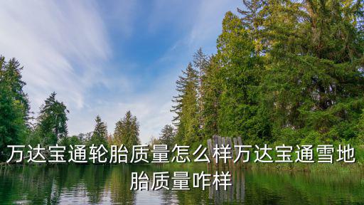 萬達寶通輪胎，萬達寶通輪胎質量怎么樣萬達寶通雪地胎質量咋樣