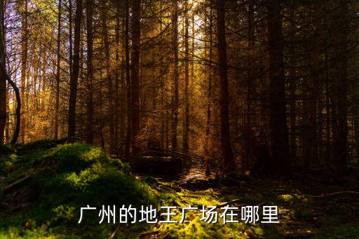 廣州的地王廣場(chǎng)在哪里