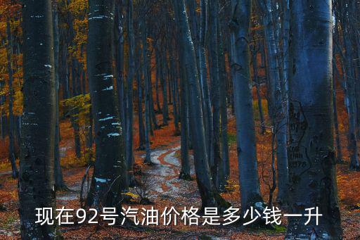 現在92號汽油價格是多少錢一升