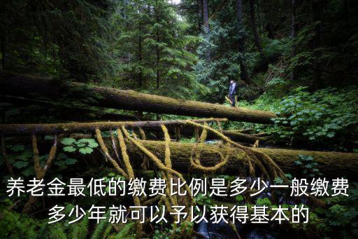 養(yǎng)老金最低的繳費(fèi)比例是多少一般繳費(fèi)多少年就可以予以獲得基本的