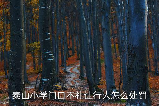 泰山小學(xué)門(mén)口不禮讓行人怎么處罰