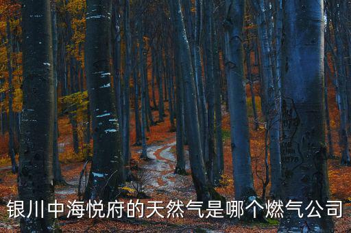 銀川中海悅府的天然氣是哪個燃氣公司
