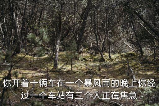 公車奇緣，你開著一輛車在一個暴風雨的晚上你經過一個車站有三個人正在焦急