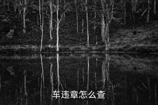 怎么查車輛違章查詢，怎么查詢車輛違章