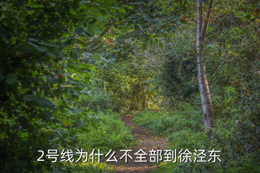2號線為什么不全部到徐涇東
