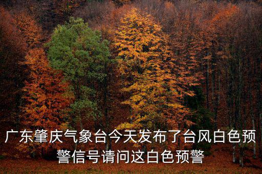 今天臺風最新消息，今天十月一日臺風最新消息