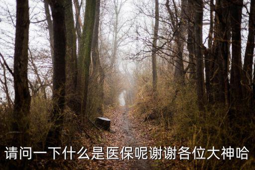 什么是醫保，醫保是什么意思