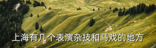 上海有幾個(gè)表演雜技和馬戲的地方