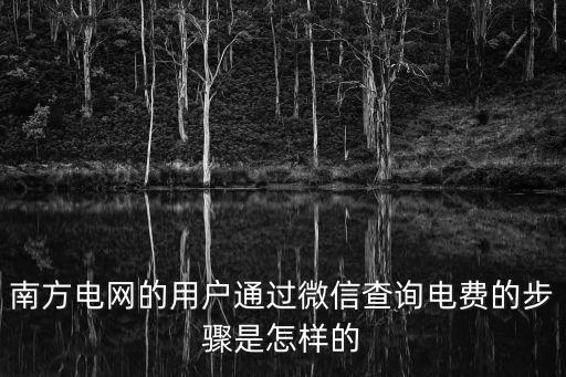 南方電網(wǎng)電費(fèi)查詢，中國南方電網(wǎng)繳費(fèi)如何在網(wǎng)上查詢