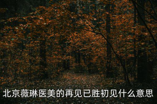 北京薇琳醫美的再見已勝初見什么意思