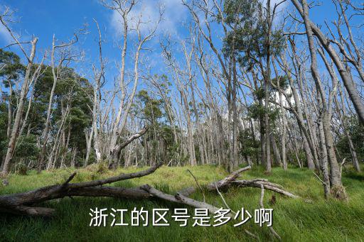浙江的區號是多少啊