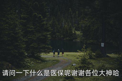 請問一下什么是醫保呢謝謝各位大神哈