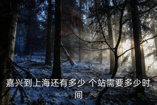 嘉興到上海還有多少 個站需要多少時間