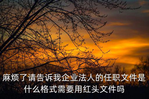 麻煩了請告訴我企業法人的任職文件是什么格式需要用紅頭文件嗎