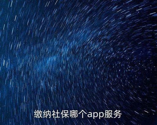 繳納社保哪個app服務