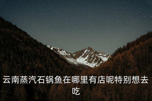 云南蒸汽石鍋魚在哪里有店呢特別想去吃