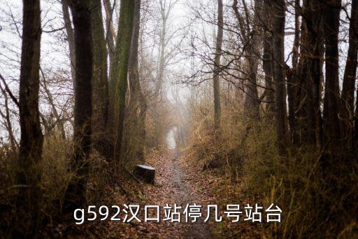 g592漢口站停幾號站臺