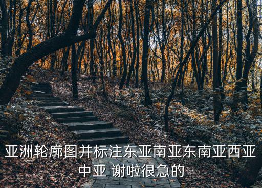 東亞地圖，亞洲輪廓圖并標(biāo)注東亞南亞?wèn)|南亞西亞中亞 謝啦很急的