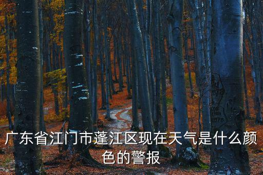 廣東省江門市蓬江區(qū)現(xiàn)在天氣是什么顏色的警報