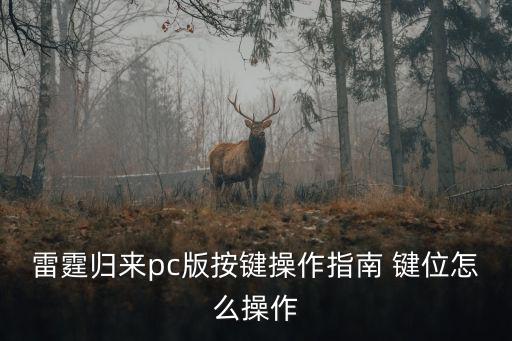 操作指南，什么是操作指南
